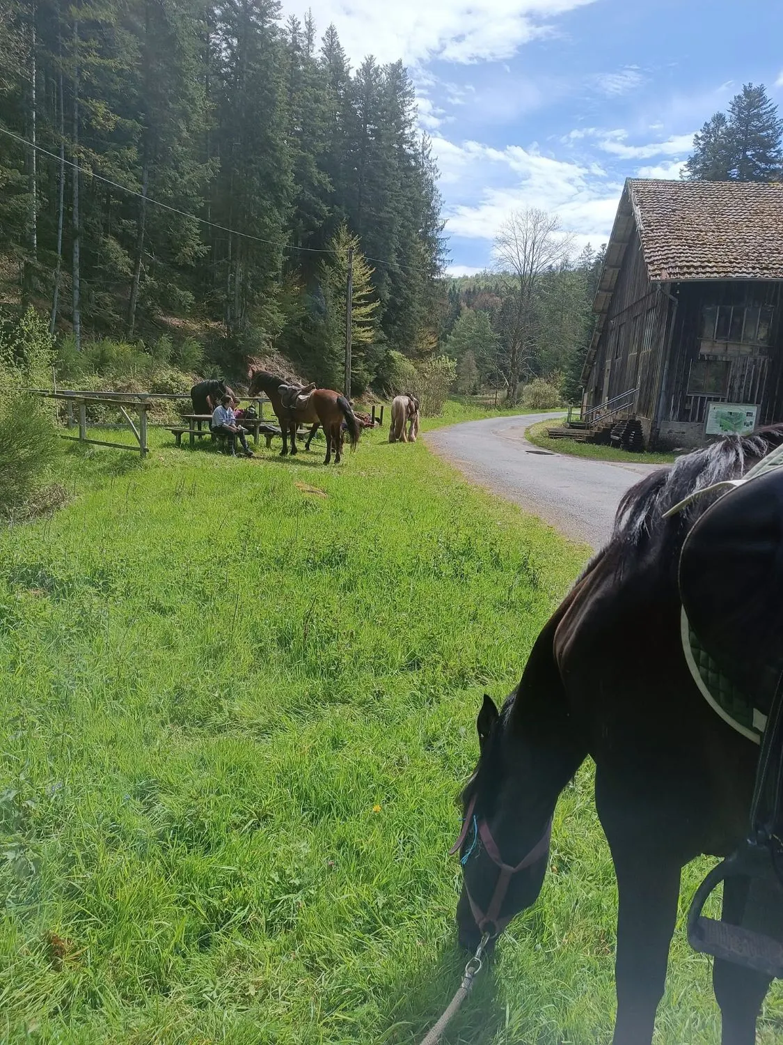 Une pause pendant une balade à cheval